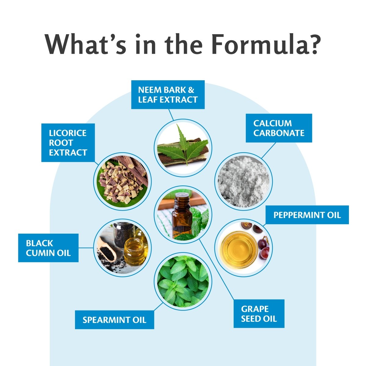 Neem with Mint Toothpaste 4.23 oz