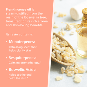 Frankincense Massage Oil, 8oz