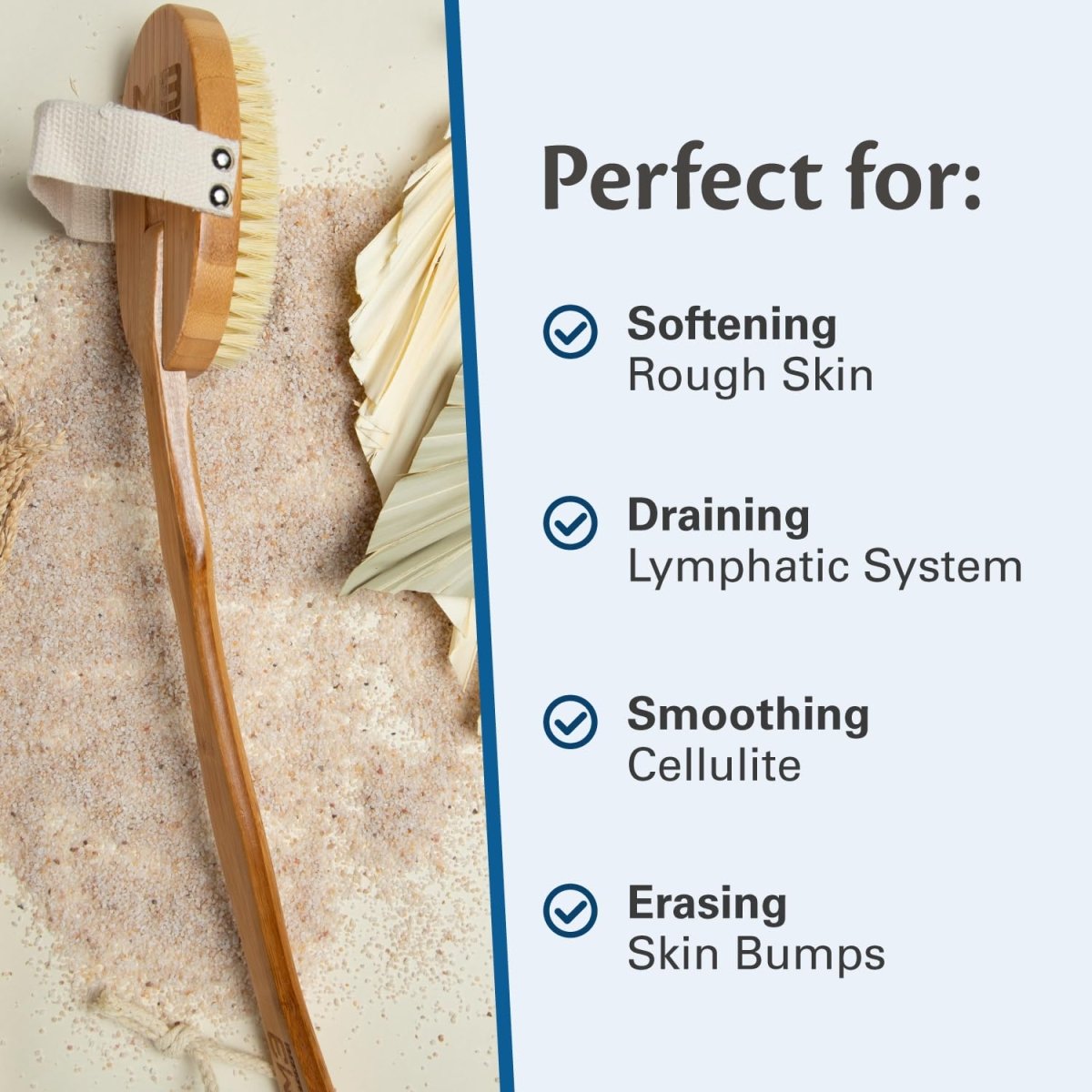 Cellulite Body Brush, 1ea